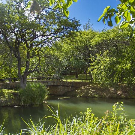 Little Bush Lodge Hoedspruit Eksteriør billede