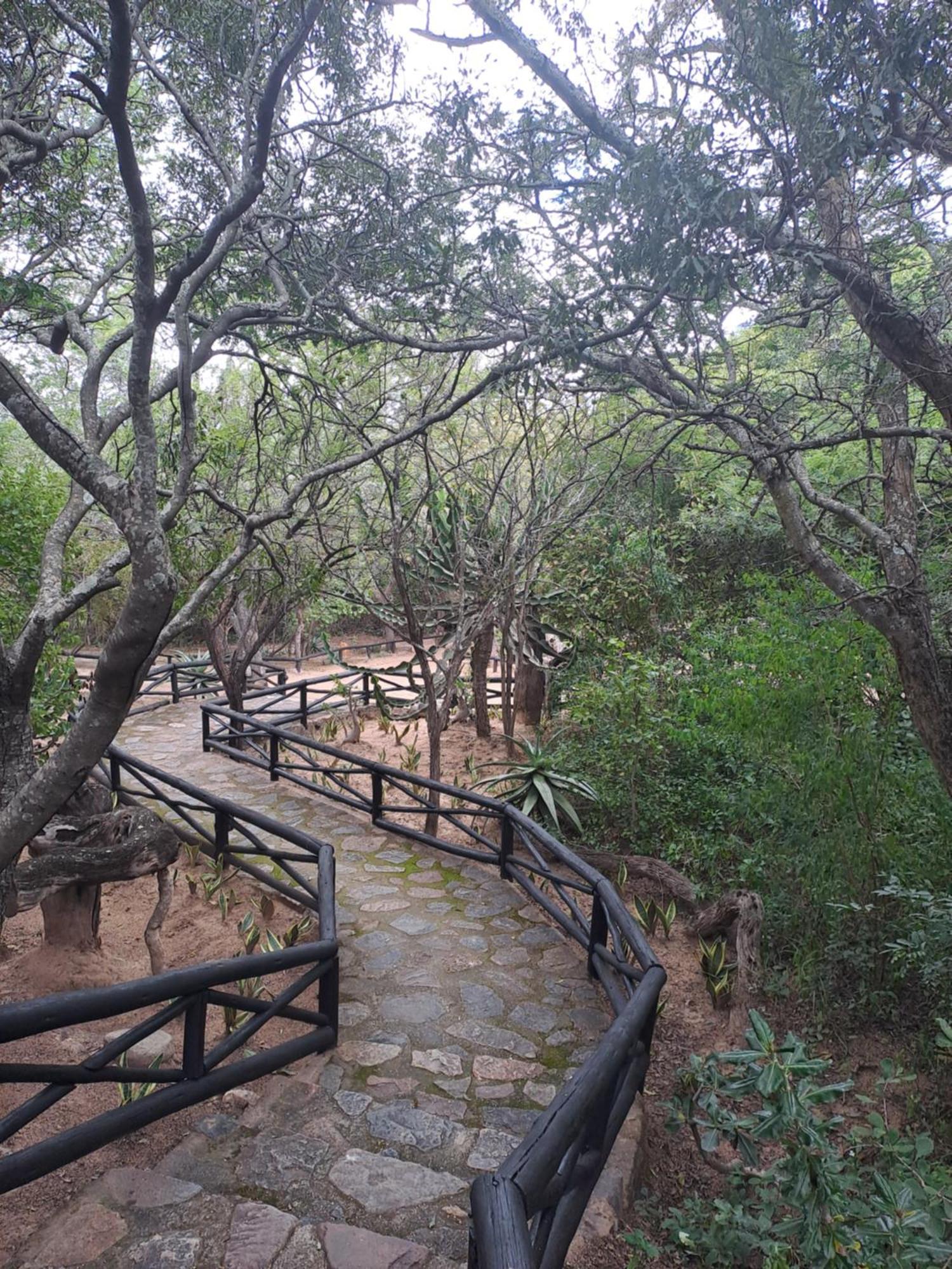 Little Bush Lodge Hoedspruit Eksteriør billede