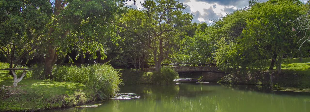 Little Bush Lodge Hoedspruit Eksteriør billede