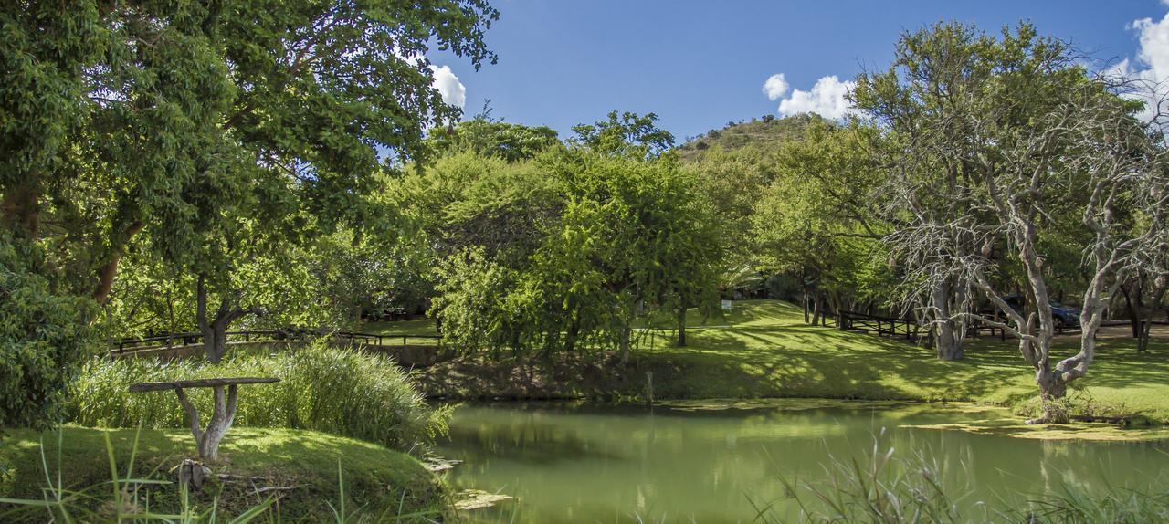 Little Bush Lodge Hoedspruit Eksteriør billede