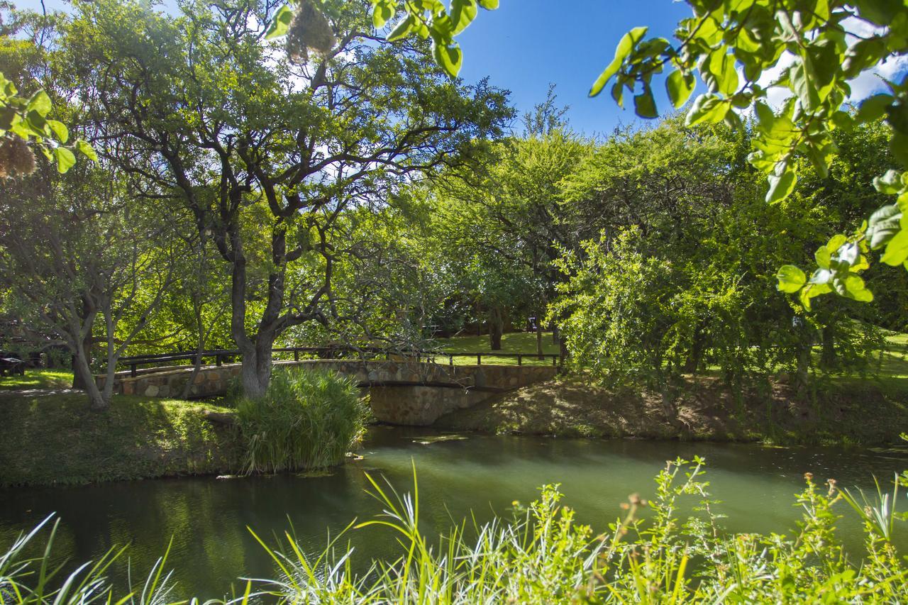 Little Bush Lodge Hoedspruit Eksteriør billede