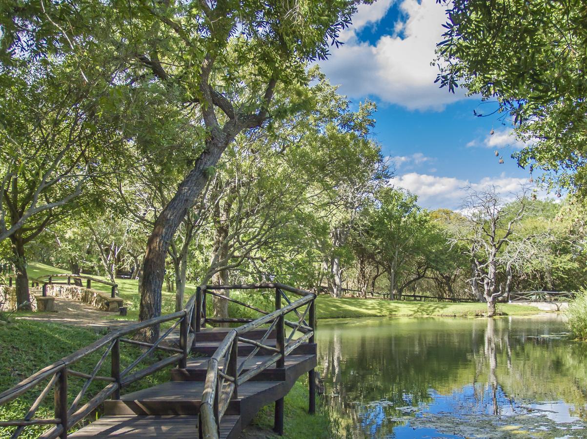 Little Bush Lodge Hoedspruit Eksteriør billede