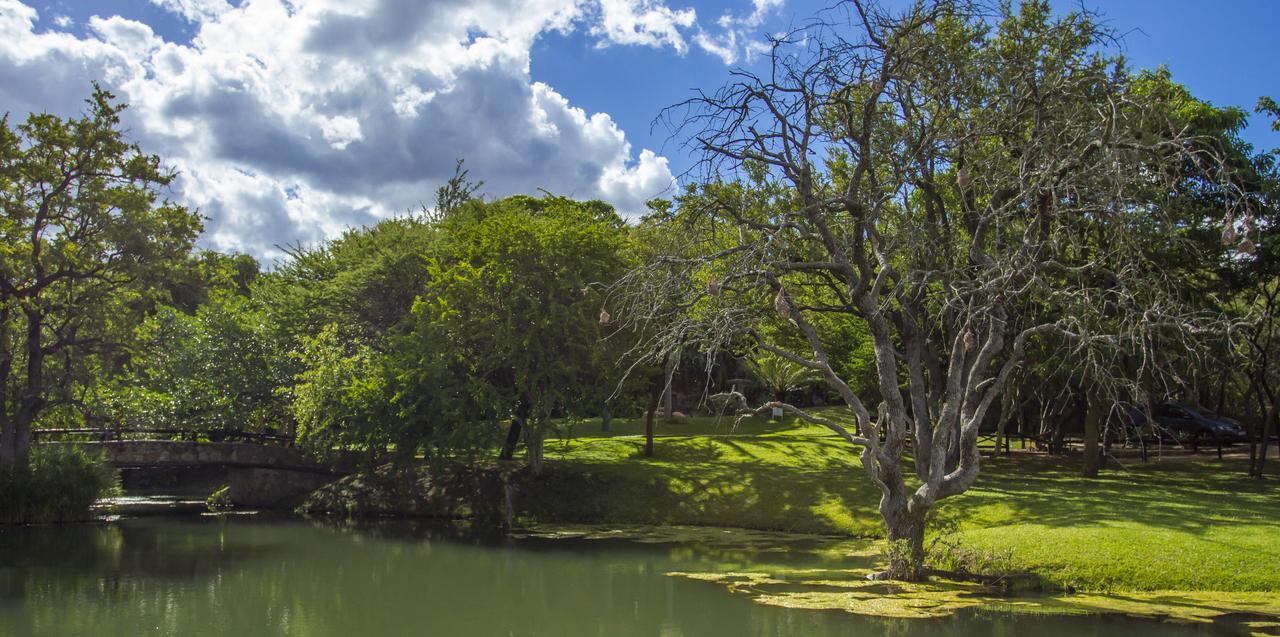 Little Bush Lodge Hoedspruit Eksteriør billede