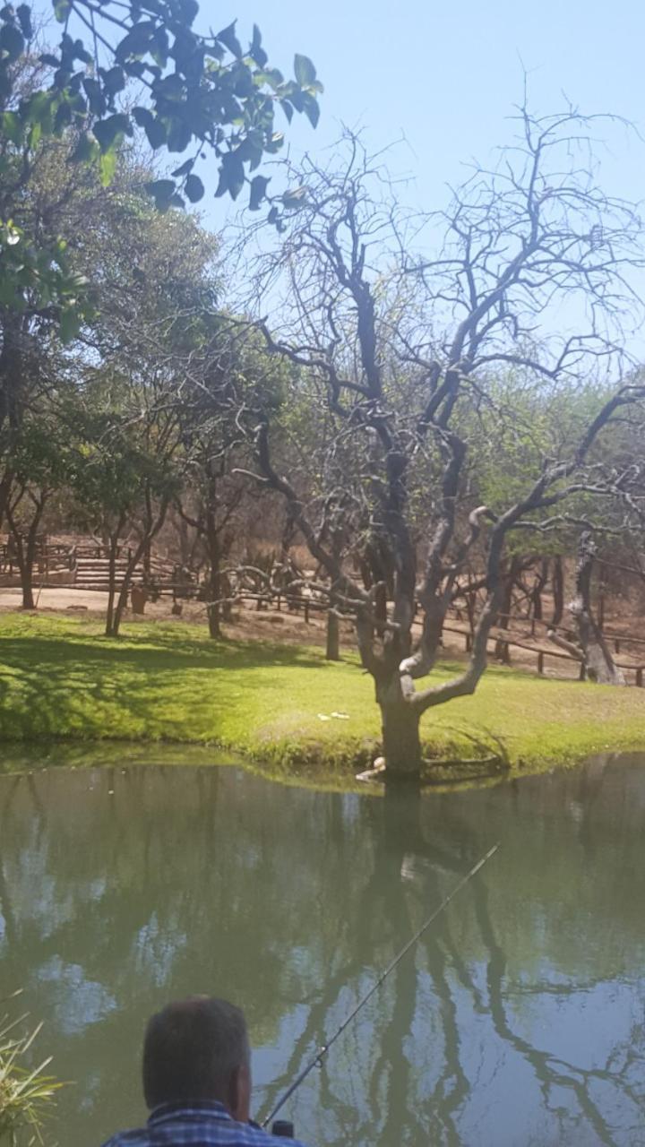 Little Bush Lodge Hoedspruit Eksteriør billede