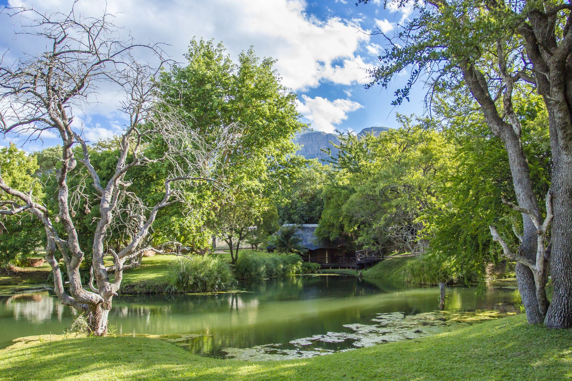 Little Bush Lodge Hoedspruit Eksteriør billede